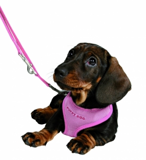 Puppyharnas met leiband roze